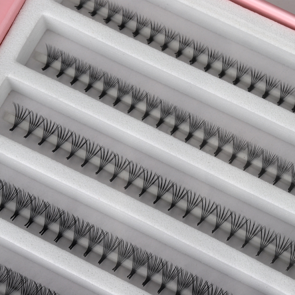 OEM 8D 10D Pointy Base Premade - Mega Volume Lash review and price