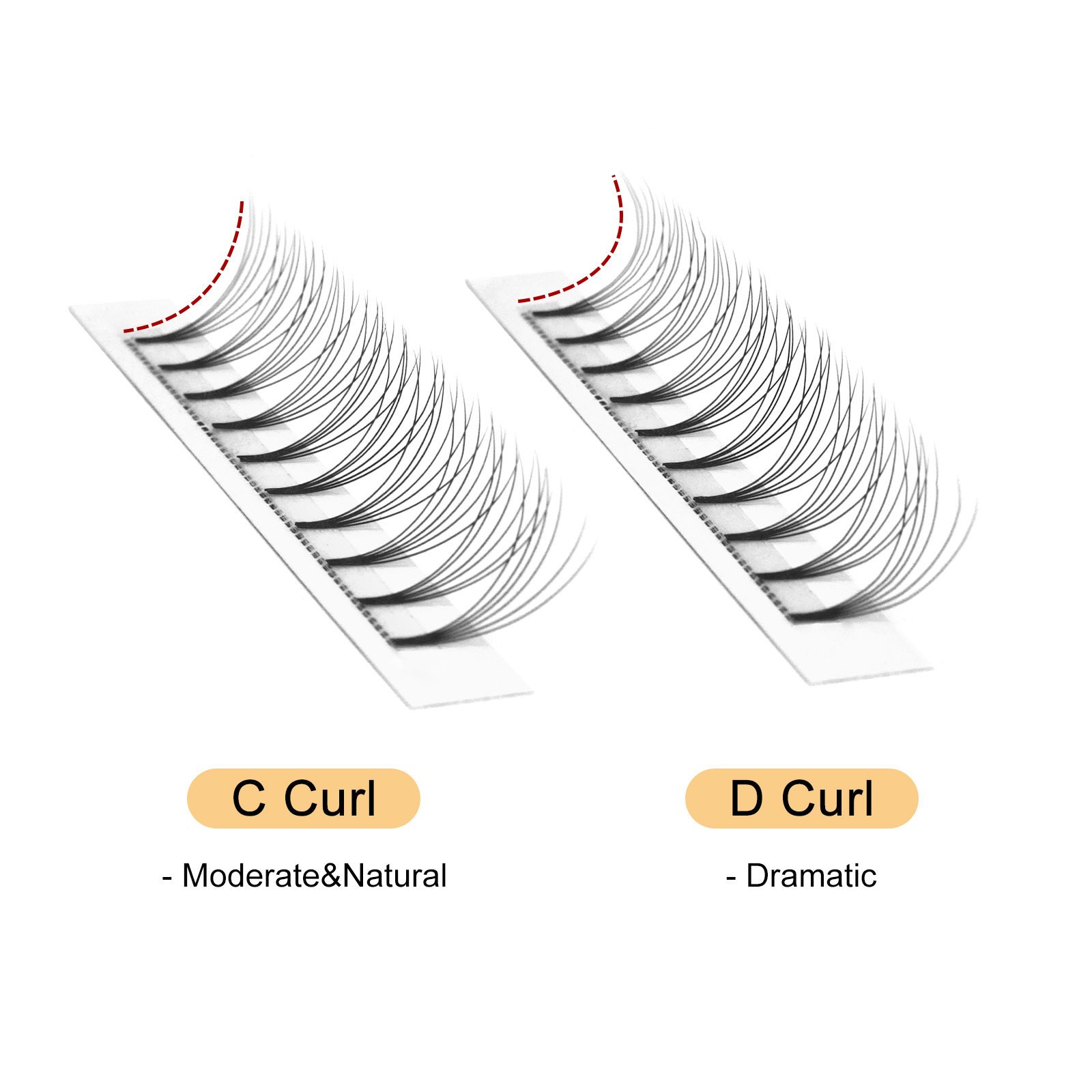 Quewel Premade Fans Lashes 8D/ - Individual Lash Tray review and price