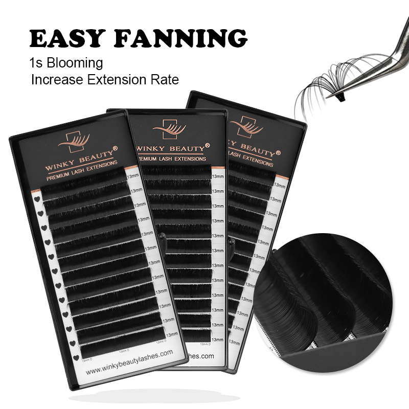 Winky Beauty Easy Fan Eyelashe - Mega Volume Lash review and price
