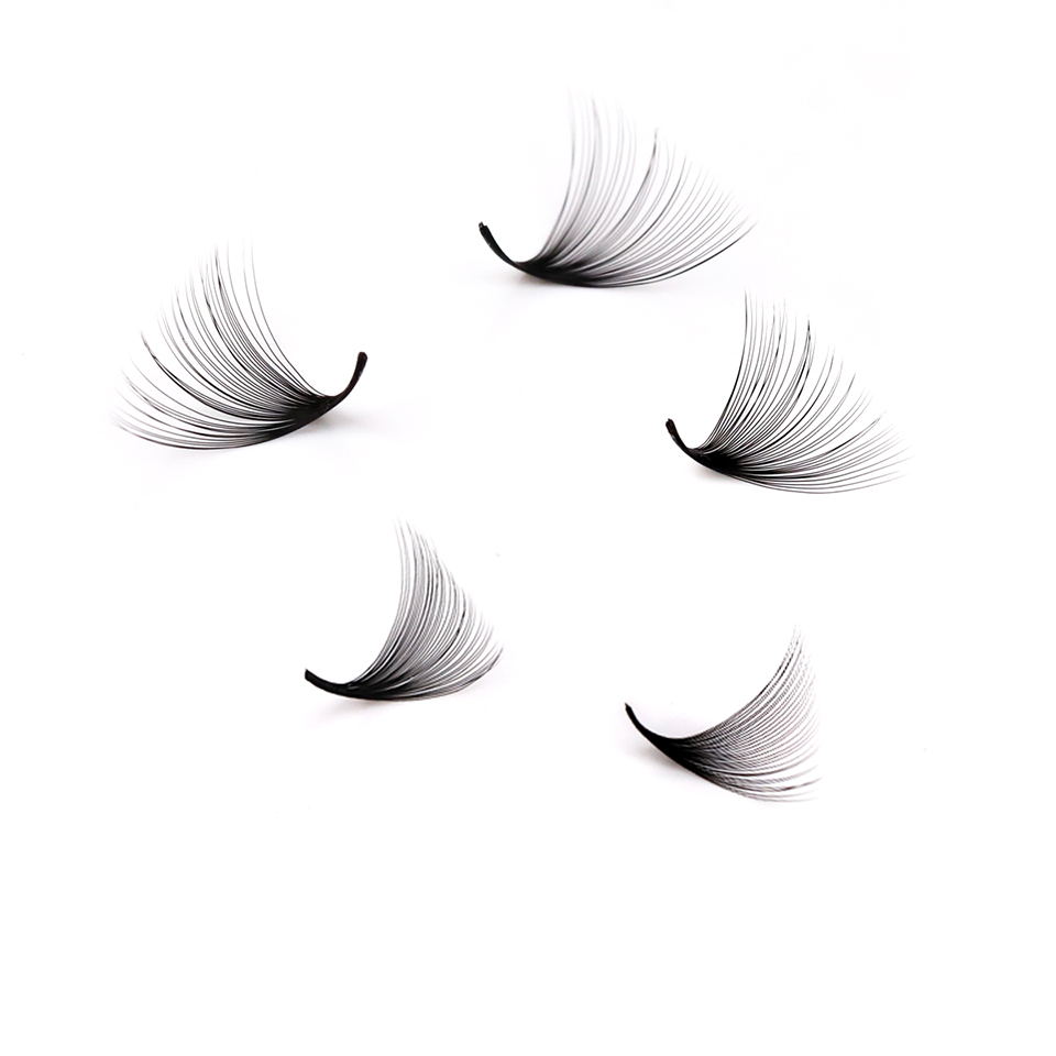 Lashprofessor XL Tray 3D 4D 5D - Mega Volume Lash review and price