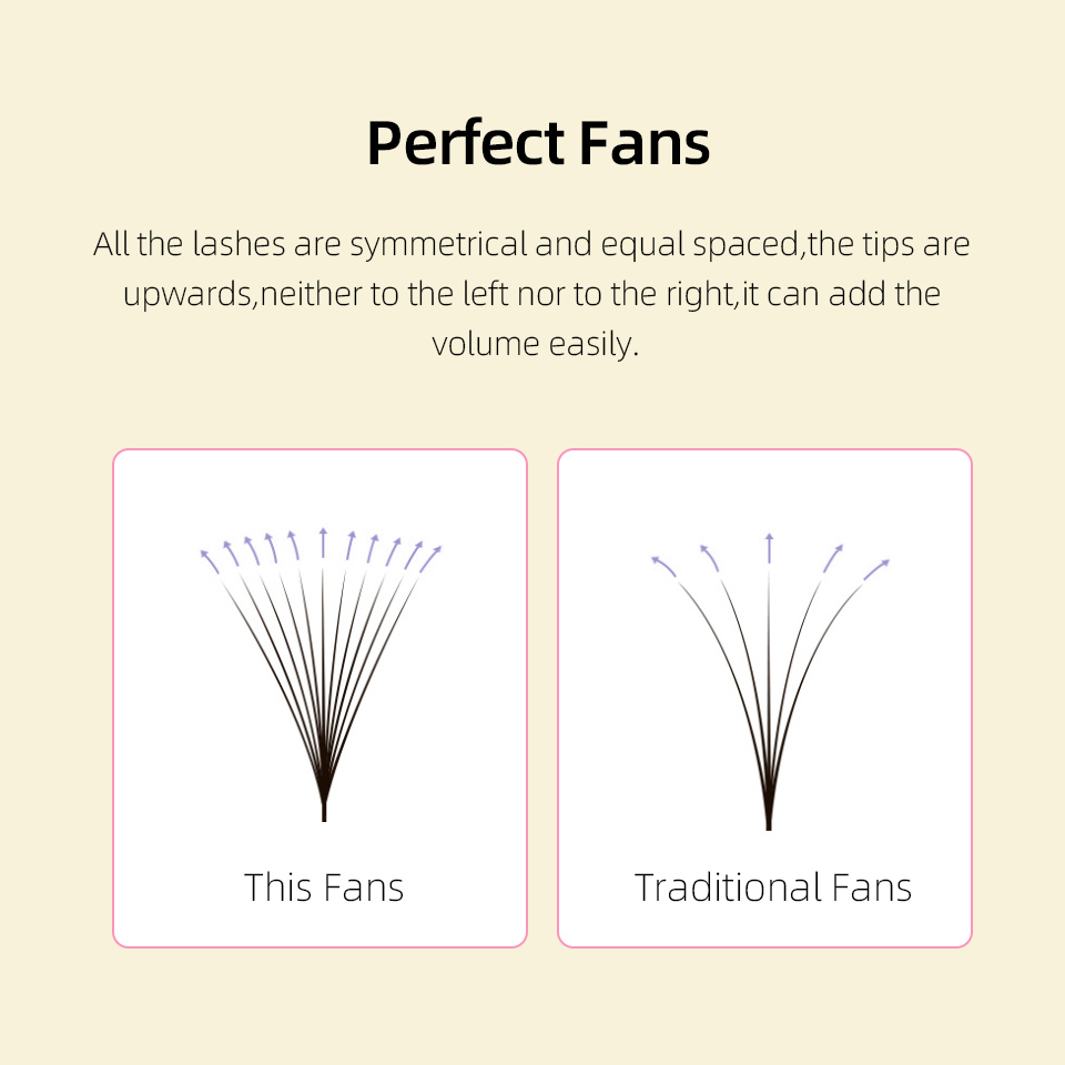 Lashprofessor XL Tray 3D 4D 5D - Mega Volume Lash review and price