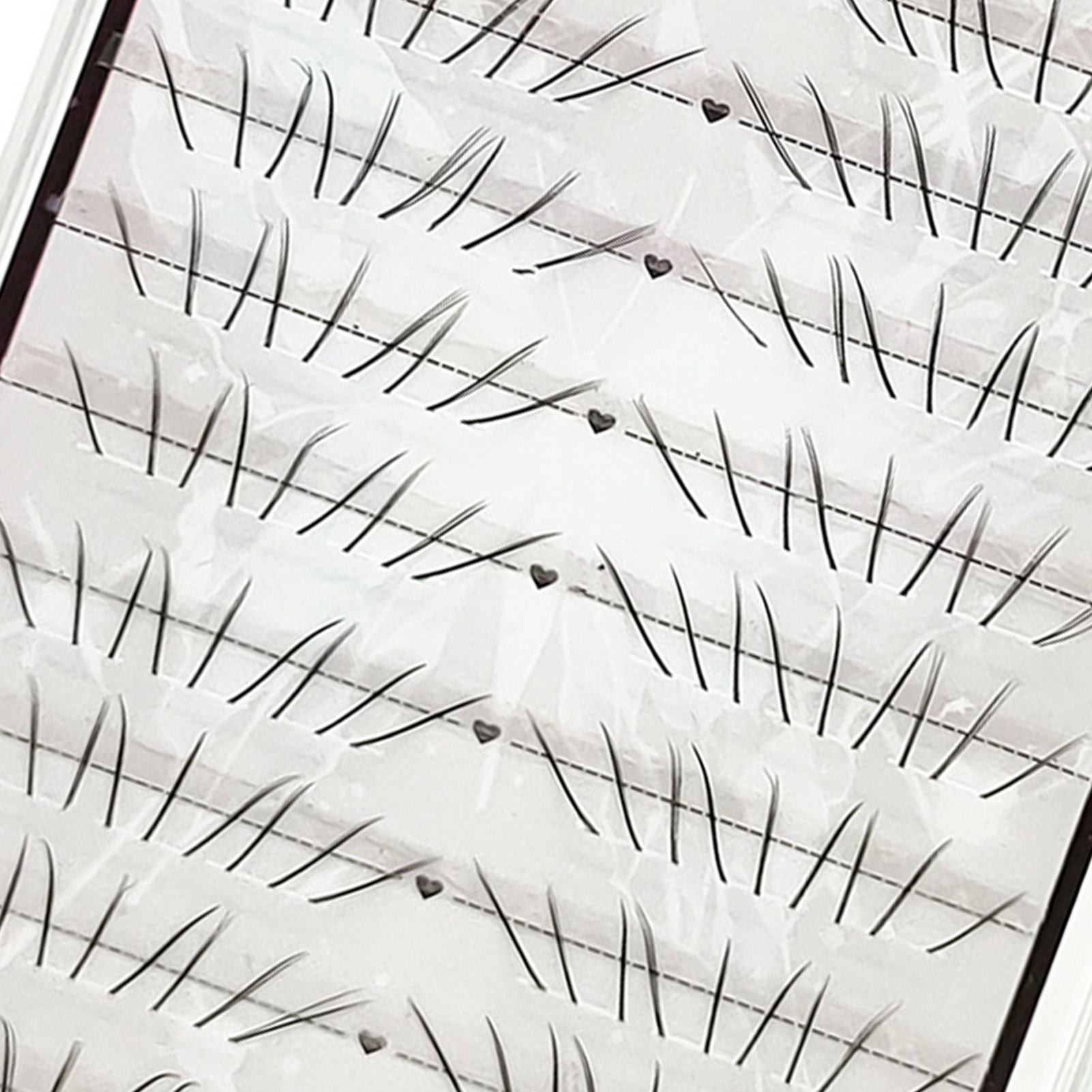 Natural Cat Paw Lower Lashes C - Eyelash Extension Cat Eye review and price