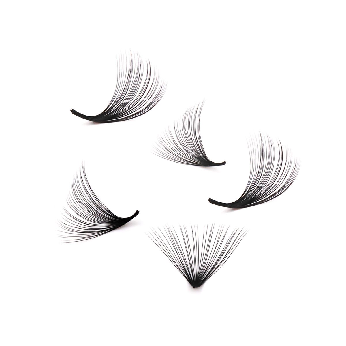 Aguud 2500 Fans Loose Fans Poi - Mega Volume Lash review and price