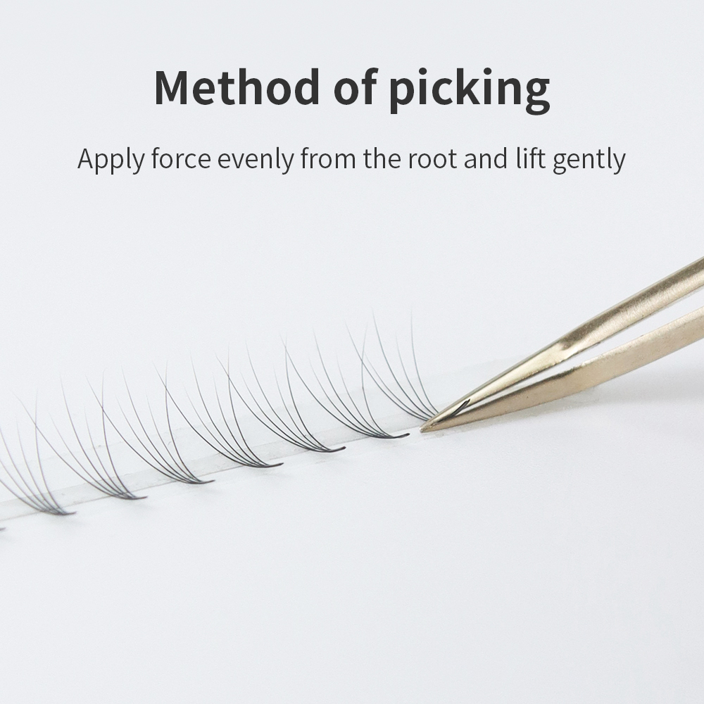 GLAMLASH Premade Volume Fan Ey - Mega Volume Lash review and price